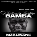BAMBA MZALWANE